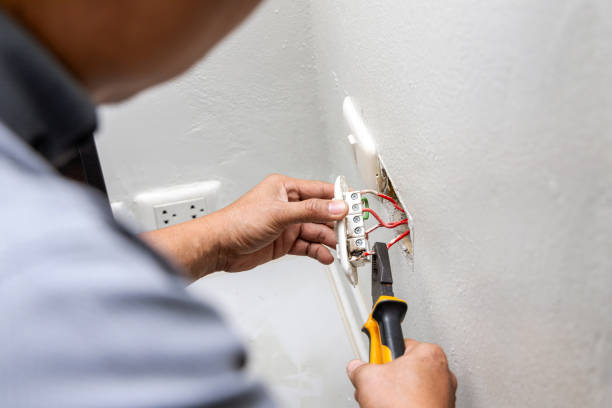 Best Electric Panel Repair  in Almedia, PA